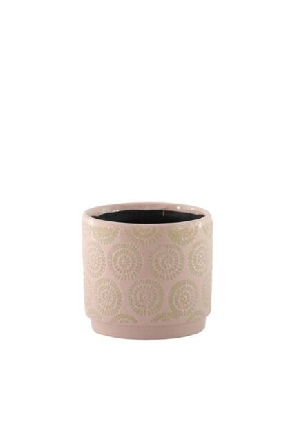 KDMD Pink Hortus Melbourne Cosmos Pot 11.5 x 10.5cm 2 Pack - Size: 11.5 x 10.5 cm - image 1