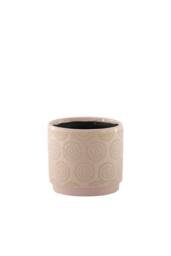 KDMD Pink Hortus Melbourne Cosmos Pot 11.5 x 10.5cm 2 Pack - Size: 11.5 x 10.5 cm - thumbnail 1