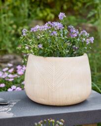 Dibor Small Beige Symmetry Stripe Beige Fibre Clay Indoor Outdoor Garden Planter Houseplant Flower Plant Pot H20 x Dia29cm