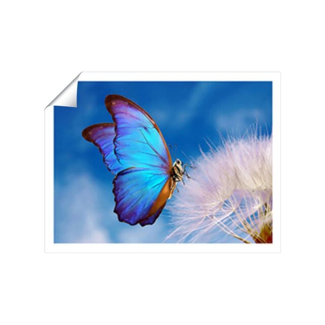 "Warren Reed - Designer Butterfly & Dandelion Unframed Art Print - Size: W24"" x H36""" - image 1