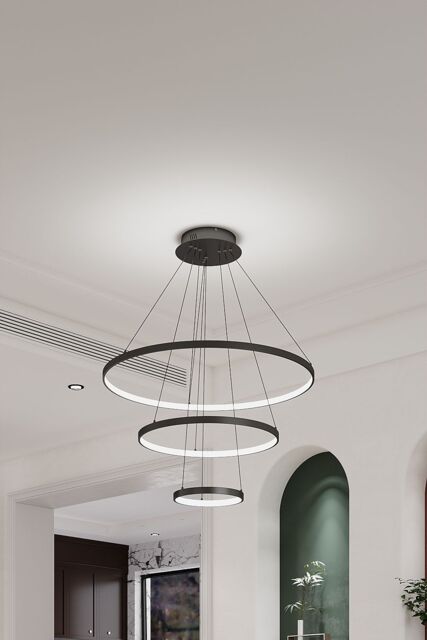 Modern 3 Ring Aluminum Round Hanging LED Pendant Light in Black - image 1