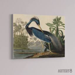 "Artery8 Audubon Birds Louisiana Heron Canvas Wall Art Print - Size: W18"" x H24""" - thumbnail 2