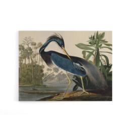 "Artery8 Audubon Birds Louisiana Heron Canvas Wall Art Print - Size: W18"" x H24""" - thumbnail 1