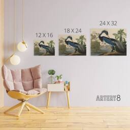 "Artery8 Audubon Birds Louisiana Heron Canvas Wall Art Print - Size: W18"" x H24""" - thumbnail 4