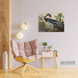 "Artery8 Audubon Birds Louisiana Heron Canvas Wall Art Print - Size: W18"" x H24""" - thumbnail 3