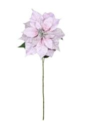 KDMD Light Purple Poinsettia Stem 71cm 2 Pack - thumbnail 2