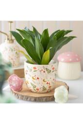 KDMD Fairy Folklore Print Plant Pot in Cream - thumbnail 1