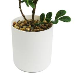 Leaf Botanik 45cm Green Artificial Bonsai Tree - thumbnail 3