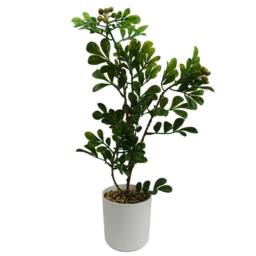 Leaf Botanik 45cm Green Artificial Bonsai Tree - thumbnail 4