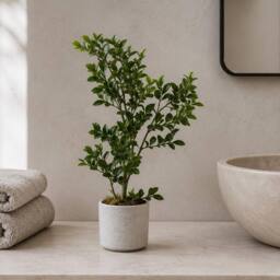 Leaf Botanik 45cm Green Artificial Bonsai Tree - thumbnail 1