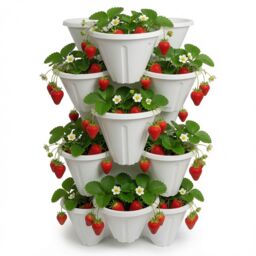 simpa Stackable Tri-Pot Plastic Strawberry Planters 6PC in White - thumbnail 2