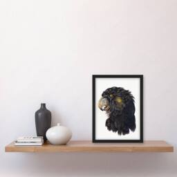 Artery8 Aert Schouman Framed Wall Art Print Cockatoo Parrot Head Watercolour in White - Size: A4 - thumbnail 2