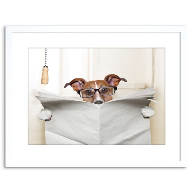 "Artery8 Wall Art Print Photo Mock Jack Russell Toilet Reading Newspaper Artwork Framed 9X7 Inch in White - Size: W7"" x H9""" - image 1