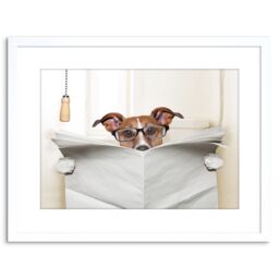 "Artery8 Wall Art Print Photo Mock Jack Russell Toilet Reading Newspaper Artwork Framed 9X7 Inch in White - Size: W7"" x H9""" - thumbnail 1