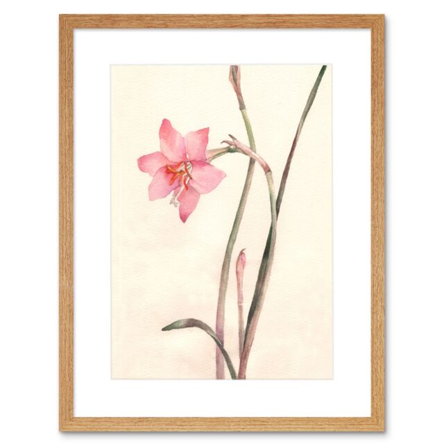 "Artery8 Wall Art Print Flower Zephyranthes Watercolour Art Framed 9x7 inch in Beige - Size: W7"" x H9""" - image 1