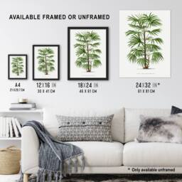 "Artery8 Rhapis Flabelliformis Palm Tree Kerchove Framed Wall Art Print in White - Size: W12"" x H16""" - thumbnail 3