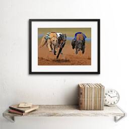 "Artery8 Greyhound Sing Running Dog Track Sport Photo 12x16"" Framed Art Print in Brown - Size: W12"" x H16""" - thumbnail 2