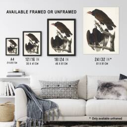 "Artery8 Turkey Buzzard Vulture Audubon Nature Wall Art Print Poster in White - Size: W18"" x H24""" - thumbnail 3
