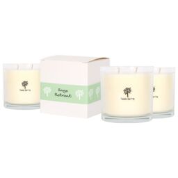 Nicola Spring 3x 400g Soy Wax Scented Candles - Sage Retreat Aromatherapy Jar Candle in Clear - thumbnail 1