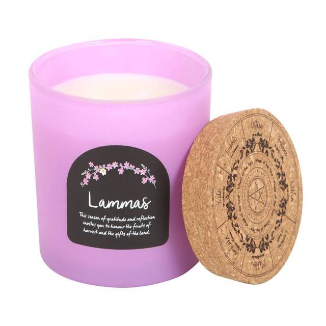 Something Different Wheel Of The Year Cinnamon Orange Lammas Candle in Pale Lilac - image 1