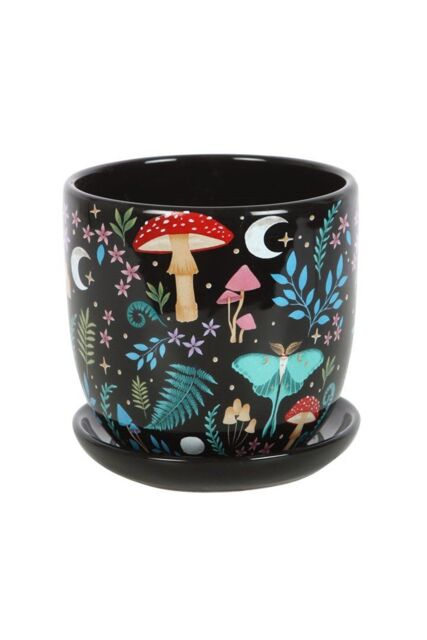 KDMD Dark Forest Print Ceramic Plant Pot with Saucer in Black - image 1