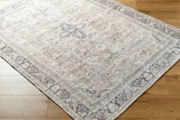 Livabliss Becki Owens Darling-Washable Brown Pink Traditional Vintage Boho Living Dining Rug in Grey - Size: 200 cm x 275 cm - thumbnail 6