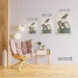 "Artery8 Yellow Crowned Heron Audubon Nature Canvas Wall Art in White - Size: W18"" x H24""" - thumbnail 4
