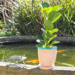 Nicola Spring Hand-Printed Plant Pots with Saucers - 20.5cm - Pack of 3 in Orange - thumbnail 5