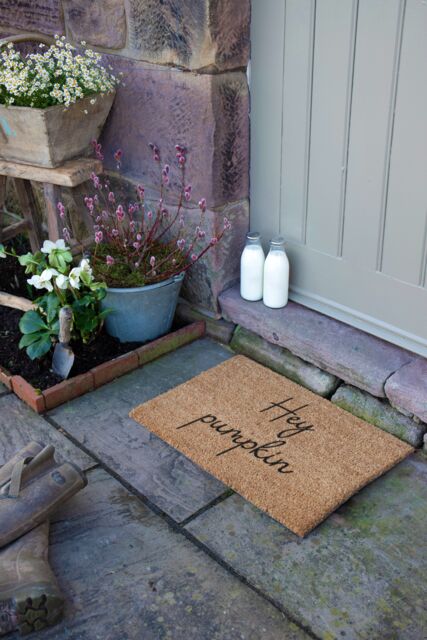 Artsy Mats Hey Pumpkin Doormat in Beige - Size: 40 cm x 60 cm - image 1