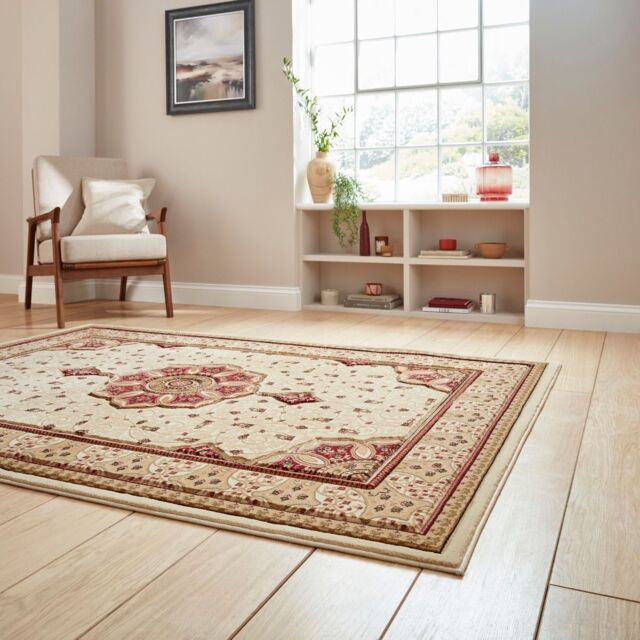 The Rug Shop UK Traditional Easy To Clean Stain-Resistant Area Rug in Ivory - Size: 200 cm x 290 cm - image 1