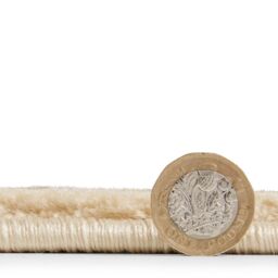 The Rug Shop UK Traditional Easy To Clean Stain-Resistant Area Rug in Ivory - Size: 200 cm x 290 cm - thumbnail 5