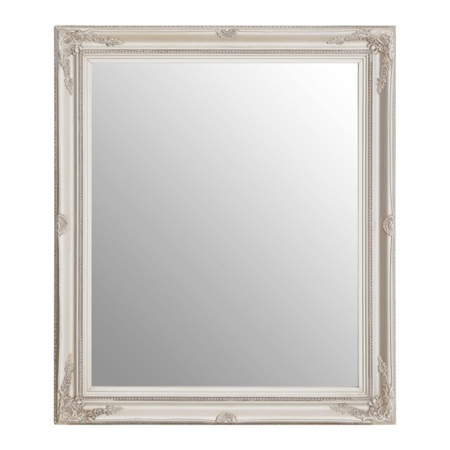 Orsina Classic Silver Finish Mirror, Antique Wall Mirror With Floral Reliefs, Regency-Inspired Mounted Mirror - image 1
