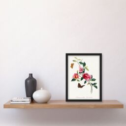 Artery8 Bougainvillea Pretty Pink Floral Vine Bloom with Butterflies Vintage Illustration Artwork Framed Wall Art Print A4 in Black - thumbnail 2