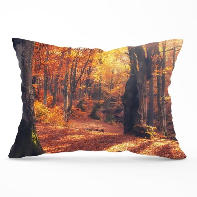 Warren Reed - Designer Autumn Forest Cushions in Brown - Size: 45 cm x 45 cm - image 1