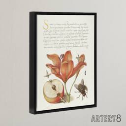 "Artery8 Insects Orange Lily & Apple Calligraphy Framed Canvas Wall Art Print in White - Size: W12"" x H16""" - thumbnail 2