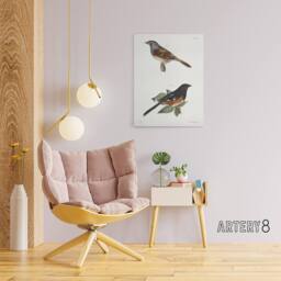 "Artery8 James Ellsworth De Kay Swamp Finch & Chewink Canvas Wall Art Print in White - Size: W12"" x H16""" - thumbnail 3