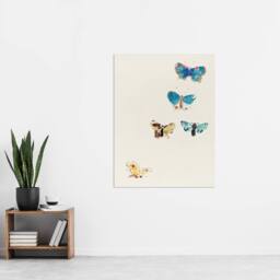 "Artery8 Five Butterflies Watercolour Redon Vintage Wall Art Print Poster in White - Size: W12"" x H16""" - thumbnail 4