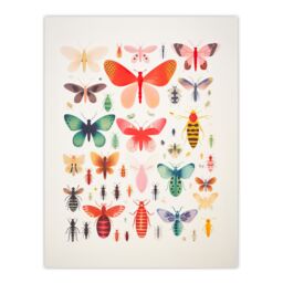 "Artery8 Wall Art Print Colourful Insects & Bugs Bright Poster Picture - Size: W18"" x H24""" - thumbnail 1