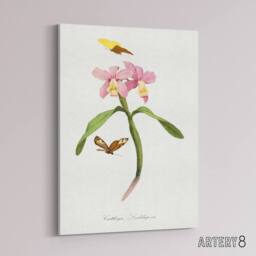 "Artery8 Paul Gervais Cattleya Orchids & Butterflies Canvas Wall Art Print in White - Size: W12"" x H16""" - thumbnail 2