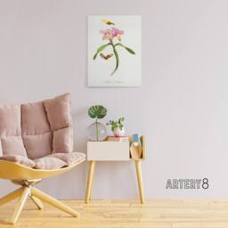 "Artery8 Paul Gervais Cattleya Orchids & Butterflies Canvas Wall Art Print in White - Size: W12"" x H16""" - thumbnail 3
