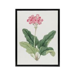 "Artery8 Sakura Flower Framed Canvas Wall Art Print Vintage Japanese Botanical in Pink - Size: W24"" x H32""" - thumbnail 1