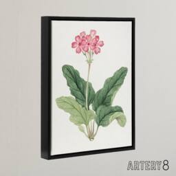 "Artery8 Sakura Flower Framed Canvas Wall Art Print Vintage Japanese Botanical in Pink - Size: W24"" x H32""" - thumbnail 2