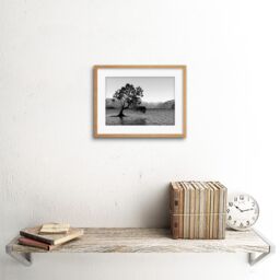 "Artery8 Wall Art Print The Lone Tree Lake Wanaka Art Black Framed 9x7 inch in Beige - Size: W7"" x H9""" - thumbnail 2