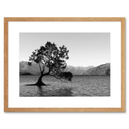 "Artery8 Wall Art Print The Lone Tree Lake Wanaka Art Black Framed 9x7 inch in Beige - Size: W7"" x H9""" - thumbnail 1