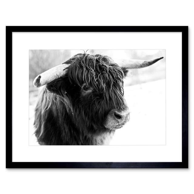 "Artery8 Photo Composition Animal Livestock Highland Cow Bull Framed Art Print in Grey - Size: W12"" x H16""" - image 1