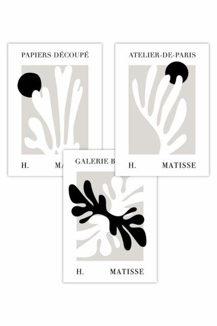 ARTZE Set of 3 Matisse Floral Cut Out Style in Black & Beige Art Posters - Size: W50 cm x H70 cm - image 1