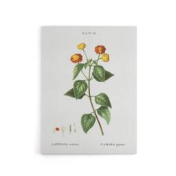 "Artery8 Lantana Plant Botanical Redoute Vintage Canvas Wall Art in White - Size: W18"" x H24""" - thumbnail 1