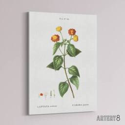 "Artery8 Lantana Plant Botanical Redoute Vintage Canvas Wall Art in White - Size: W18"" x H24""" - thumbnail 2