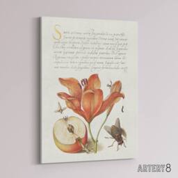 "Artery8 Insects Orange Lily & Apple Calligraphy Canvas Wall Art Print in White - Size: W12"" x H16""" - thumbnail 2