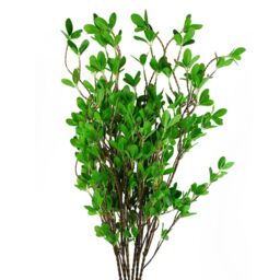 Leaf Pack of 6 x 100cm Mini Ficus Stem in Green - Size: 6 x 100 cm - thumbnail 1